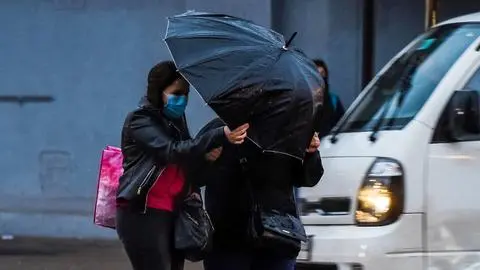 Meteorología activa aviso por fuertes vientos en sectores de la Región del Biobío