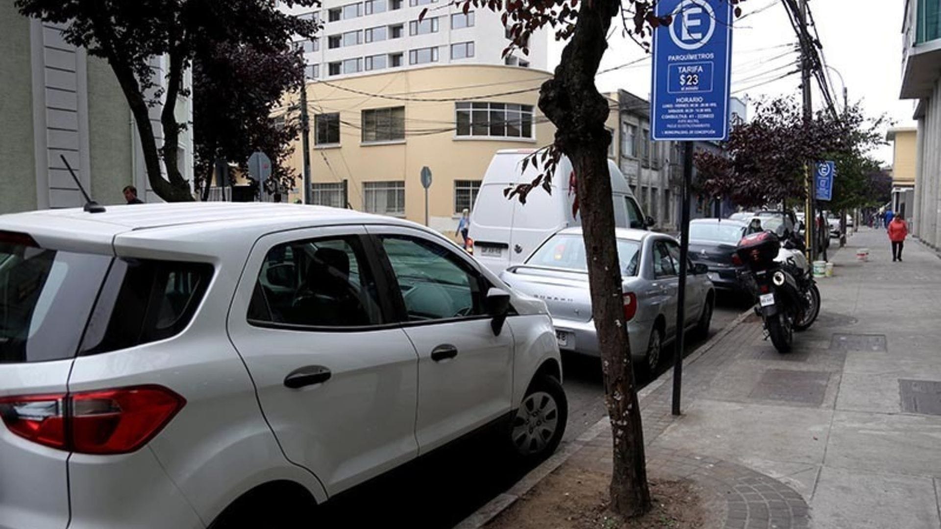 Concejo Municipal de Concepción decide poner término a contrato con empresa de parquímetros