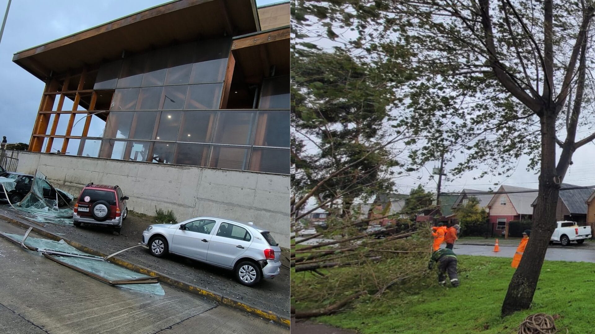 Desprendimiento de techumbres, ventanales y caída de arboles: Las consecuencias que deja intenso temporal en Puerto Montt
