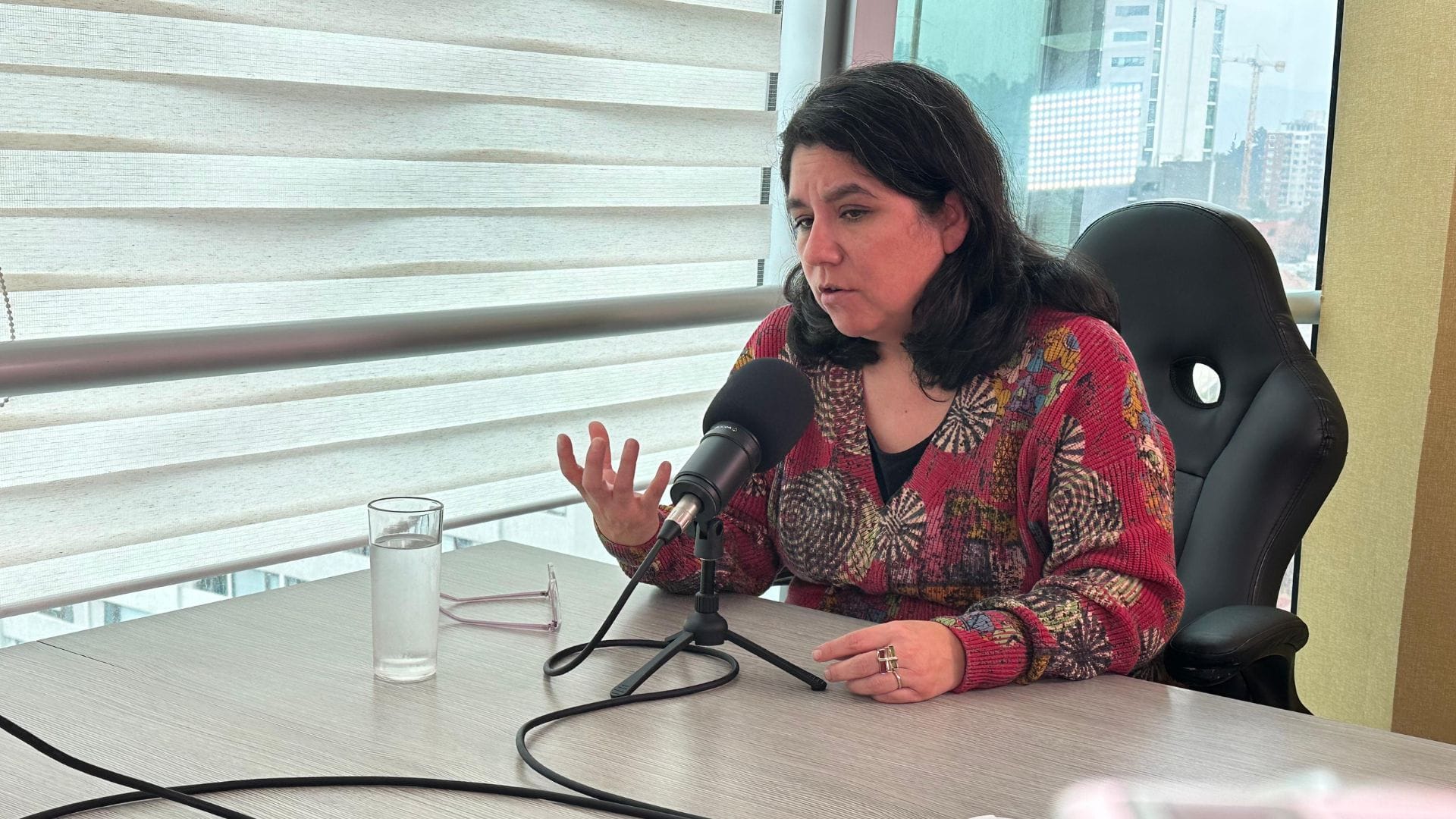 Jefa regional de la sede Biobío del INDH: Somos como el grillo que nadie quiere escuchar