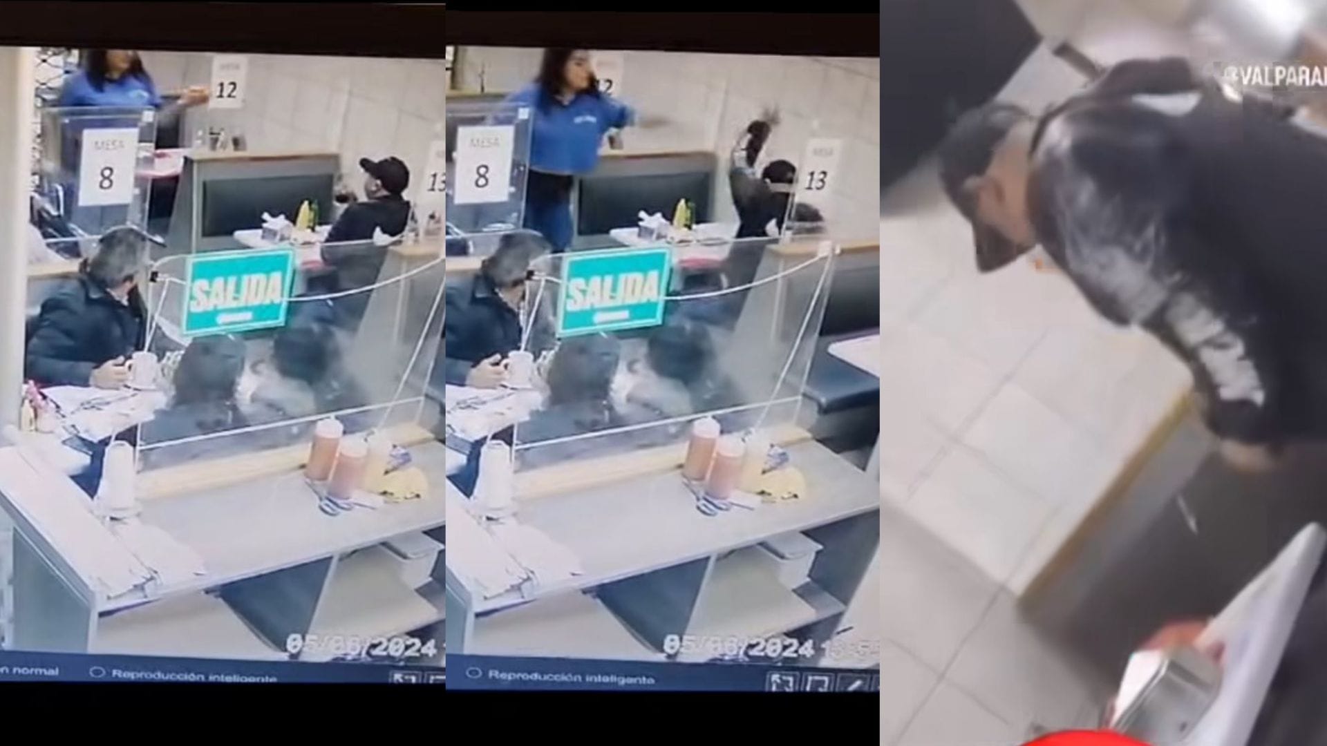 El “completazo” de la justicia: Mujer lanzó completo por defender a garzones en Viña del Mar