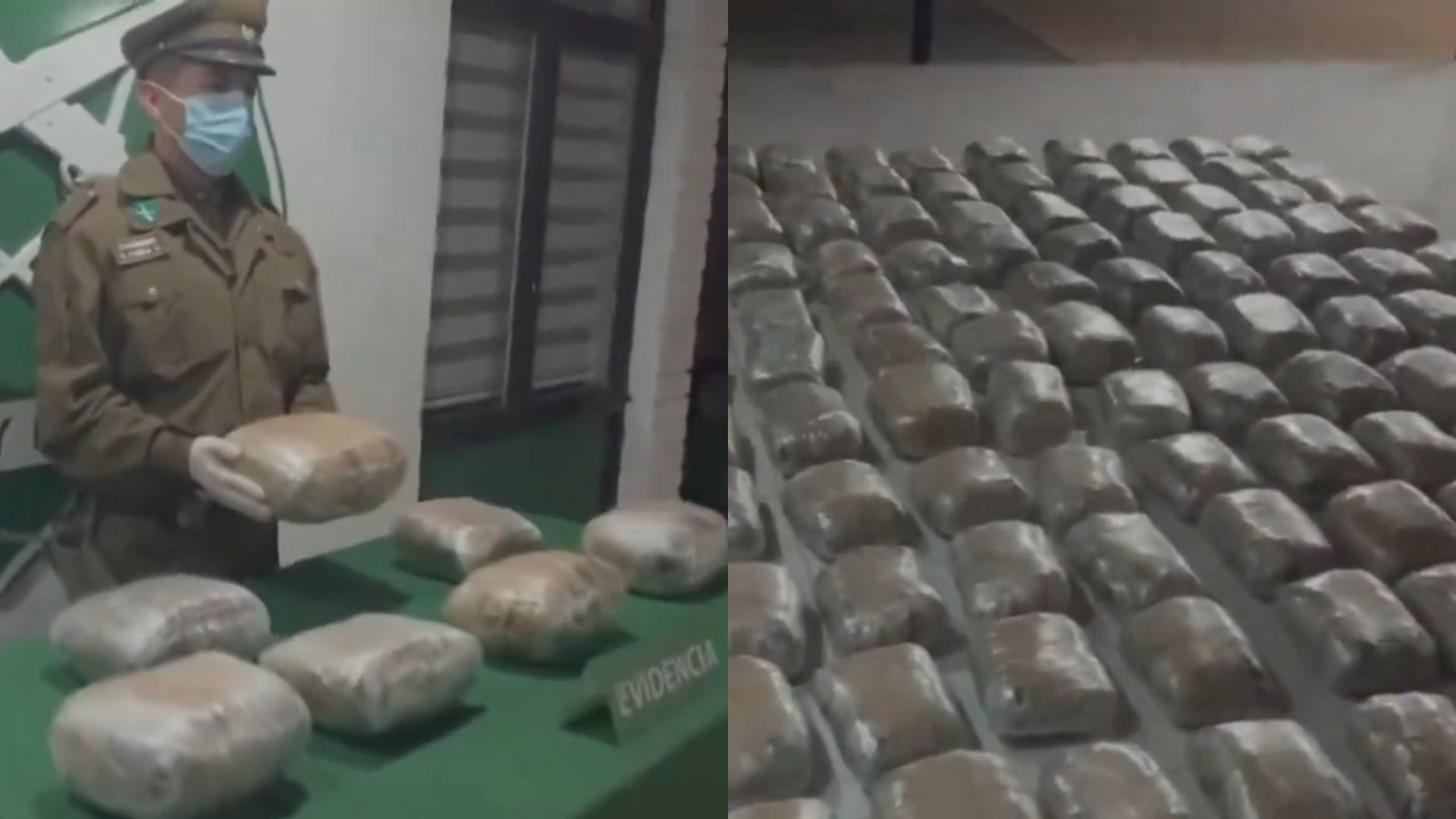 Carabineros incautan más de 150 kilos de marihuana en importante operativo en Pozo Almonte
