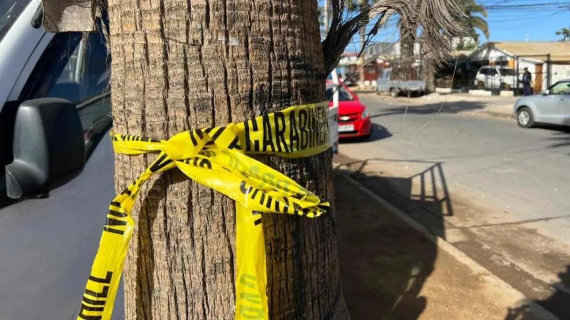 Habría salido eyectado tras chocar contra una palmera: Conductor fallece en grave accidente de tránsito en Coquimbo