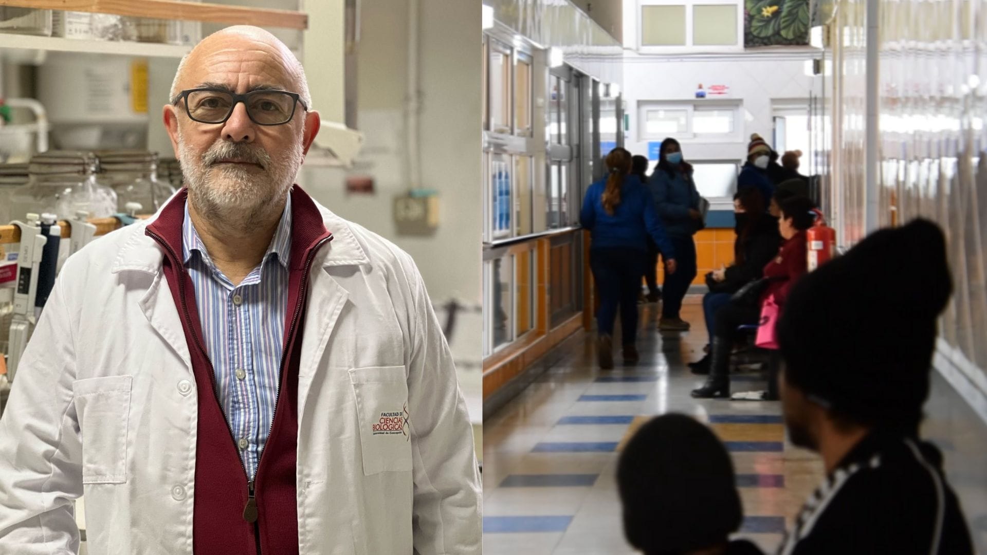 Ante aumento de casos de influenza: Experto de Concepción explica cómo funciona la vacuna contra el virus e insta a inmunizarse