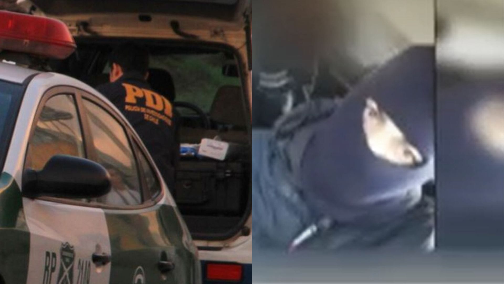 Mataron a “El Netflix”: Adolescente de banda criminal dedicada a portonazos fue acribillado en Colina