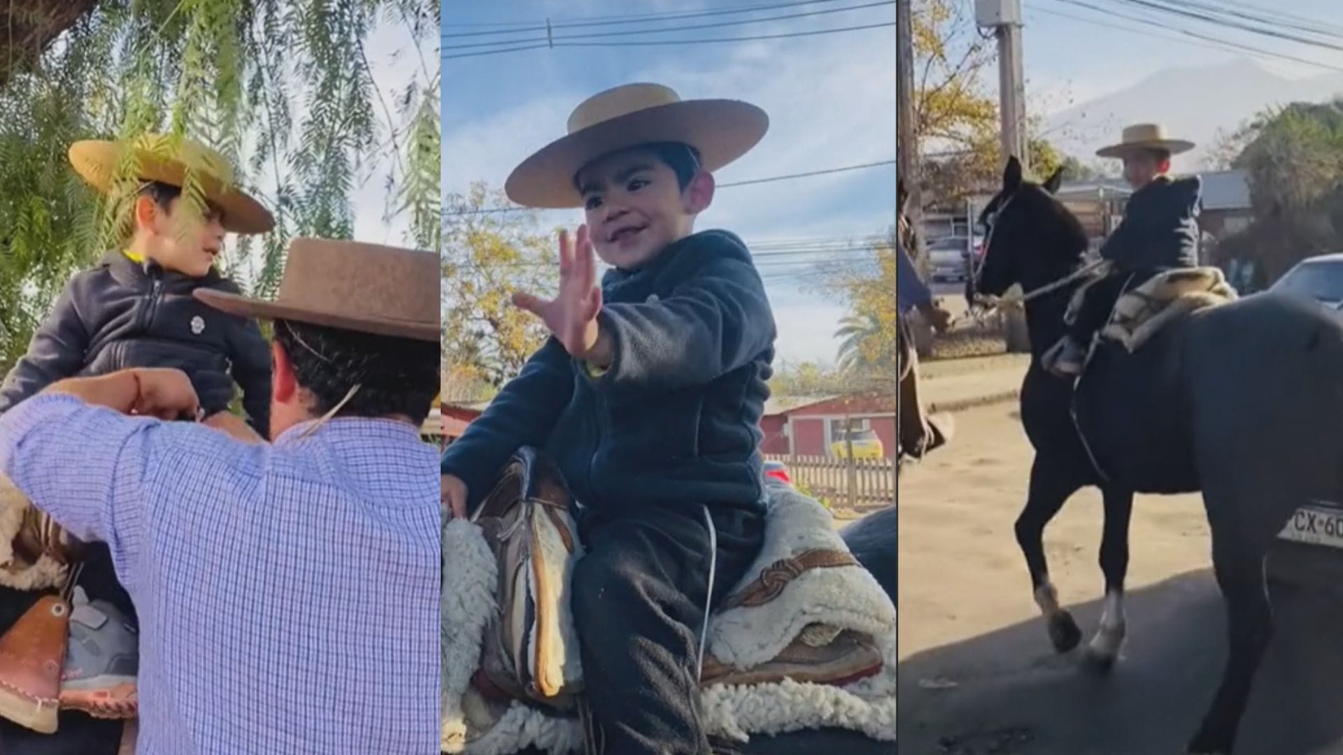 Enternece las redes: Niño es viral porque lo van a buscar en caballo al jardín