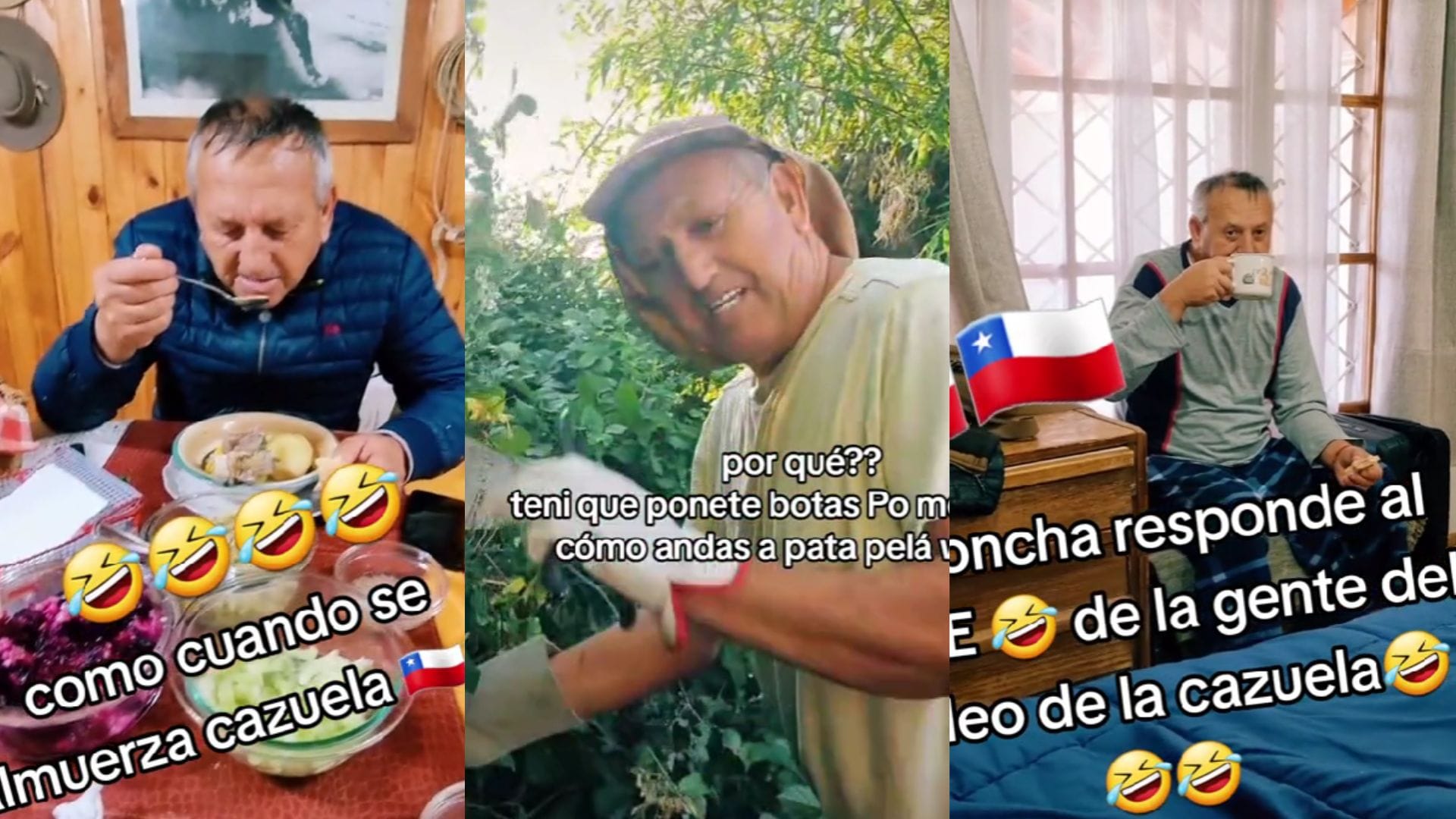 ¿Quién es Rigoncha? El huaso que divierte a TikTok con frases del campo chileno