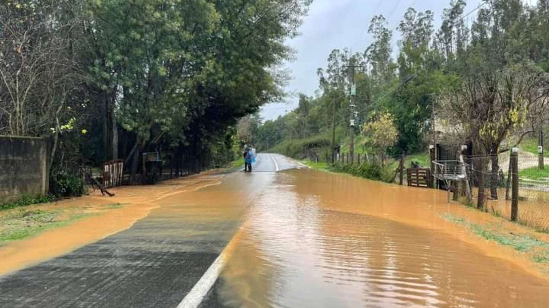 Más de 10 viviendas han resultado afectadas con daños por remociones en masa en la Región del Biobío
