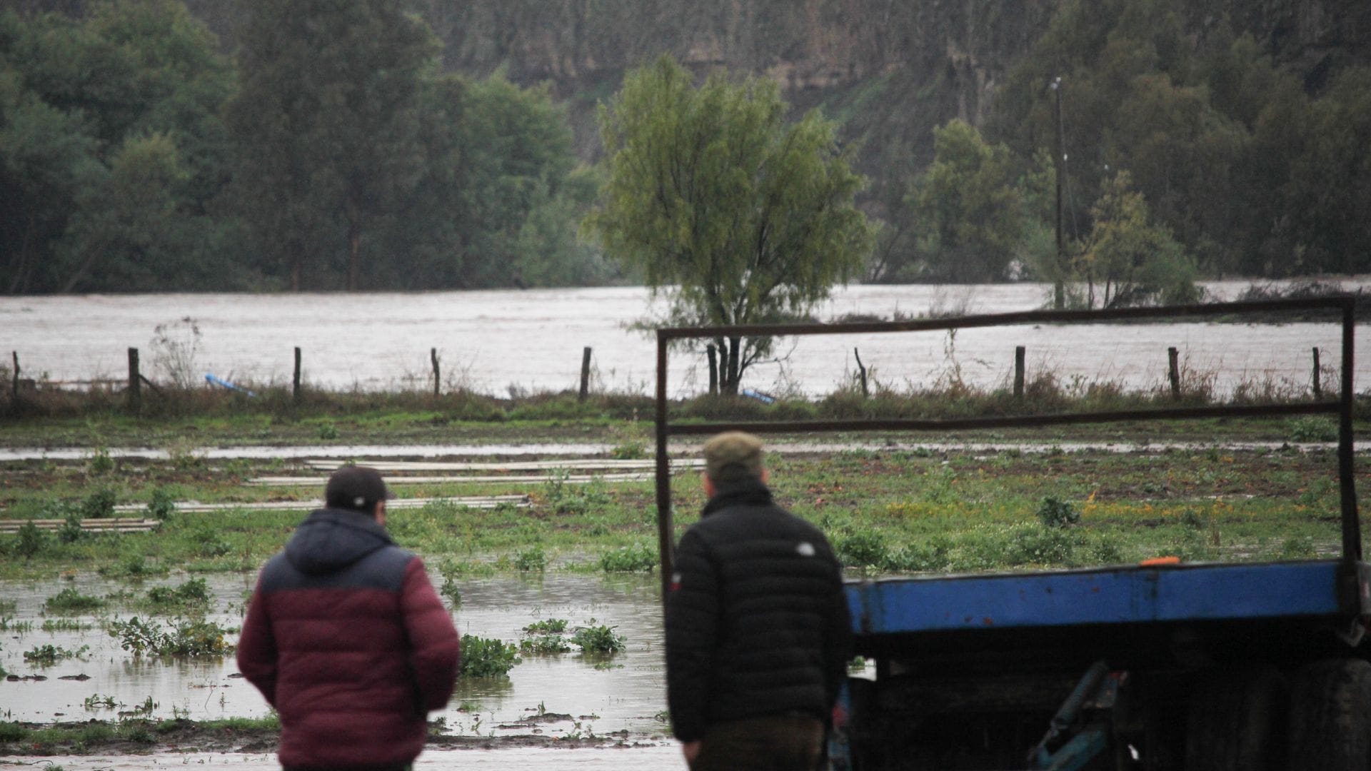 Declaran estado de emergencia agrícola en la Región del Biobío tras sistema frontal