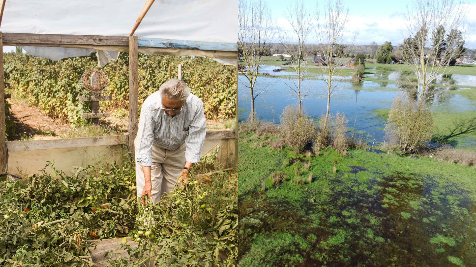 La dualidad del agua: Escasez hídrica, emergencias climáticas y sus impactos en la agricultura familiar campesina del Biobío