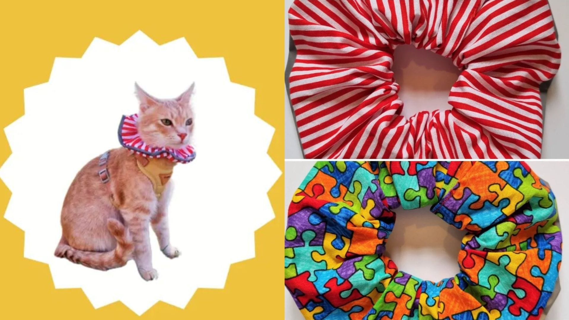 Fabrican llamativo y novedoso collar para michis: Evita que los gatos ataquen a las aves