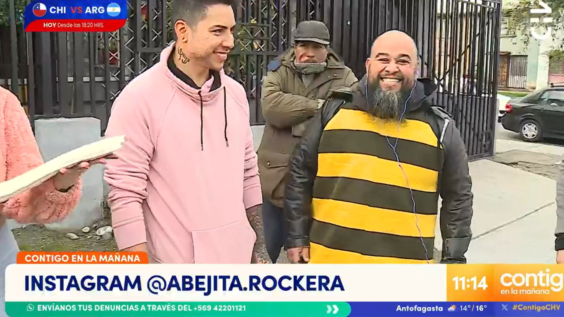 Picó como nunca: La “abejita rockera” que se tomó la televisión chilena y multiplicó seguidores en Instagram