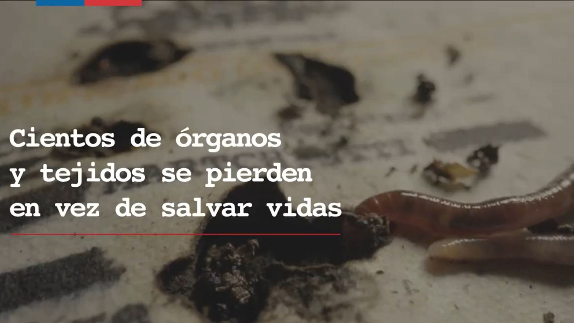 Minsal lanzó campaña para incentivar la donación de órganos: La tildaron de “mal gusto”