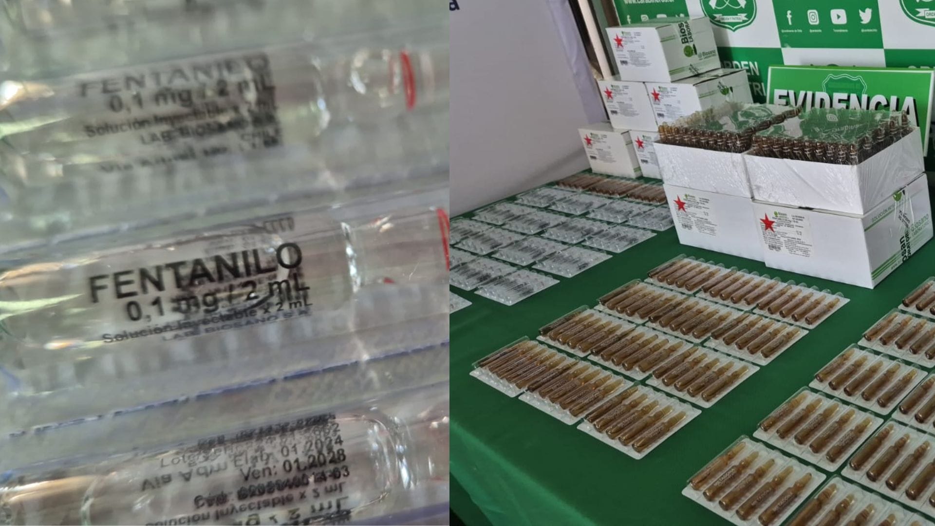Concretan la mayor incautación de fentanilo en Chile: Decomisan cerca de 1.200 ampollas de la “droga zombie”