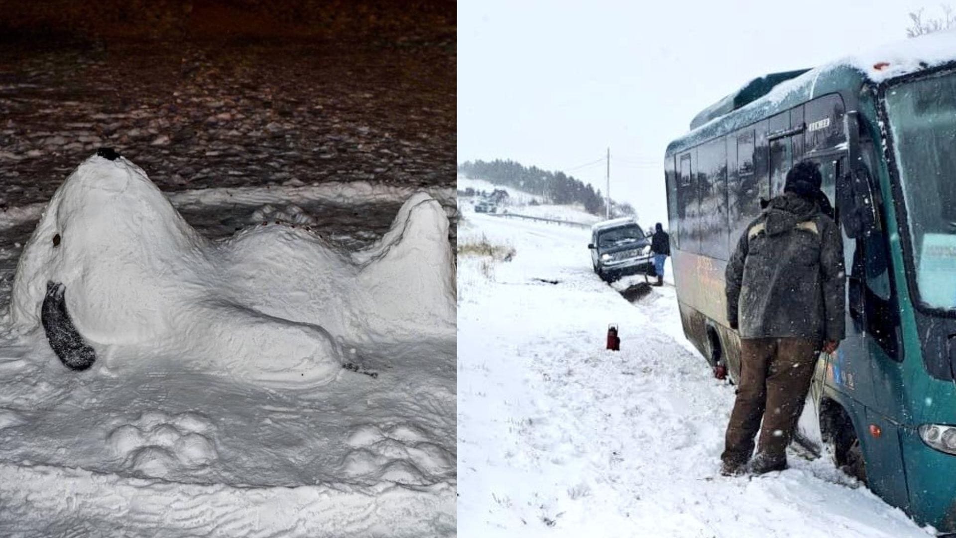 Intensas nevazones se registraron en el sur de Chile: En Punta Arenas realizaron tradicional concurso de muñecos de nieve
