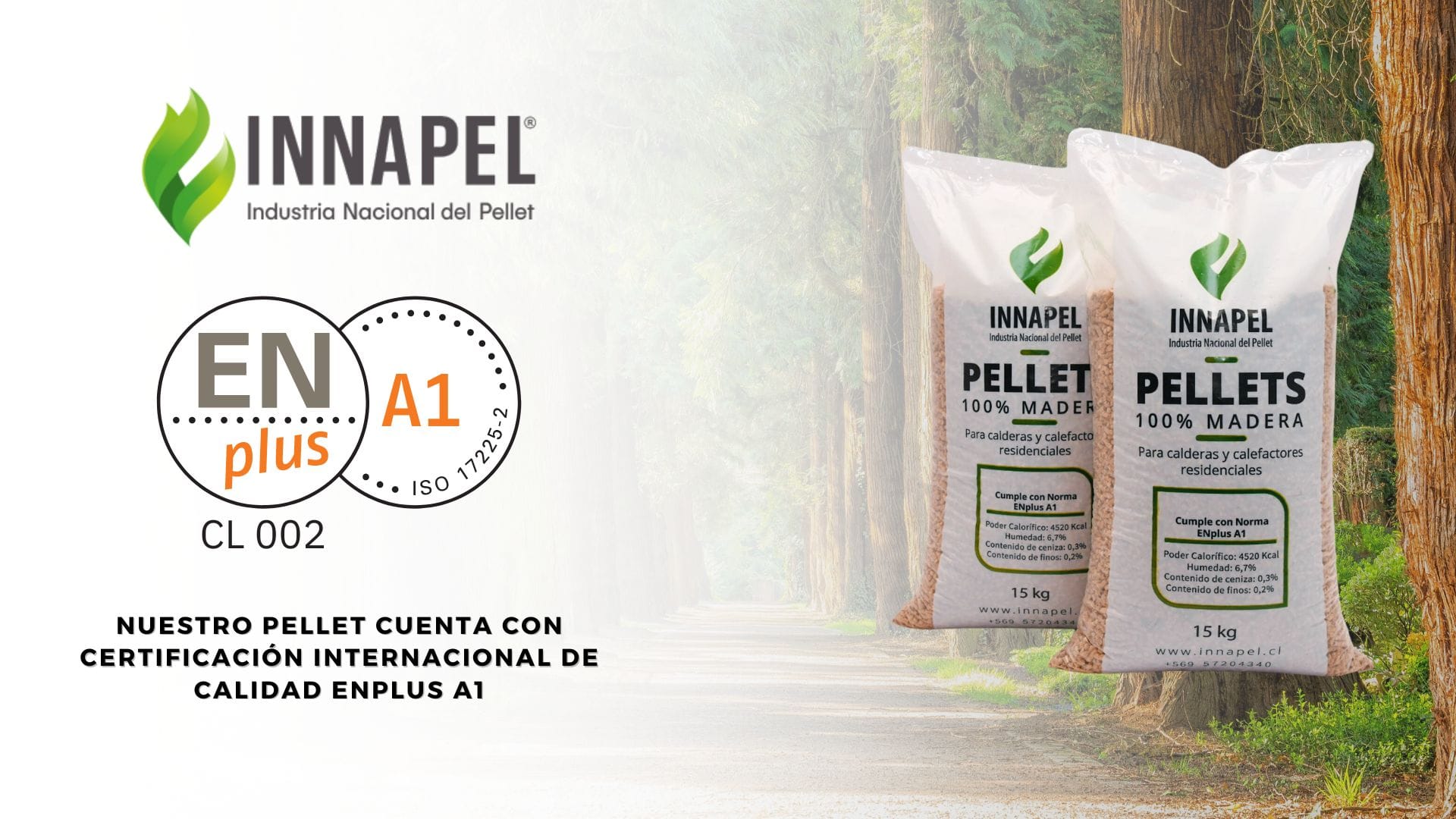 Después de la lluvia, viene el frío: Innapel tiene los mejores precios para comprar pellet