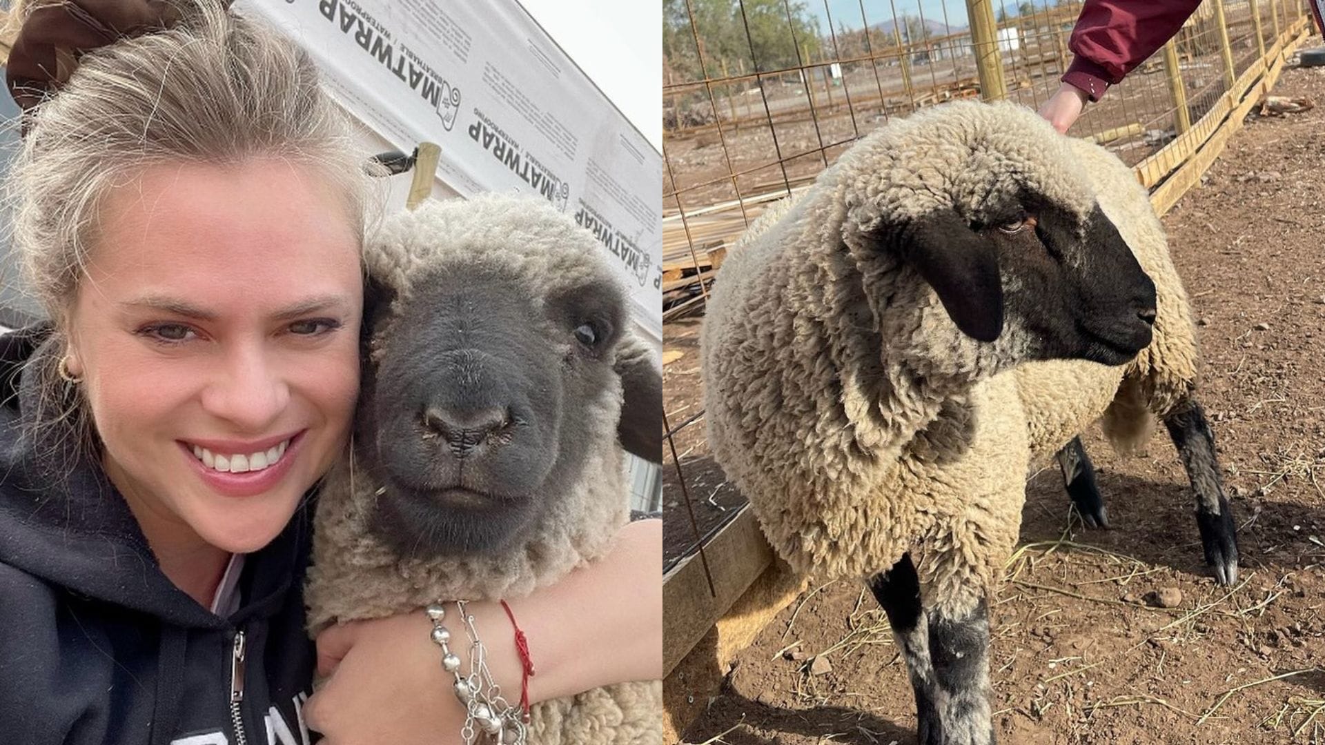 Eliana Albasetti dio detalles tras robo en su santuario de animales: Continúan en la búsqueda de “Pepe Bruno”