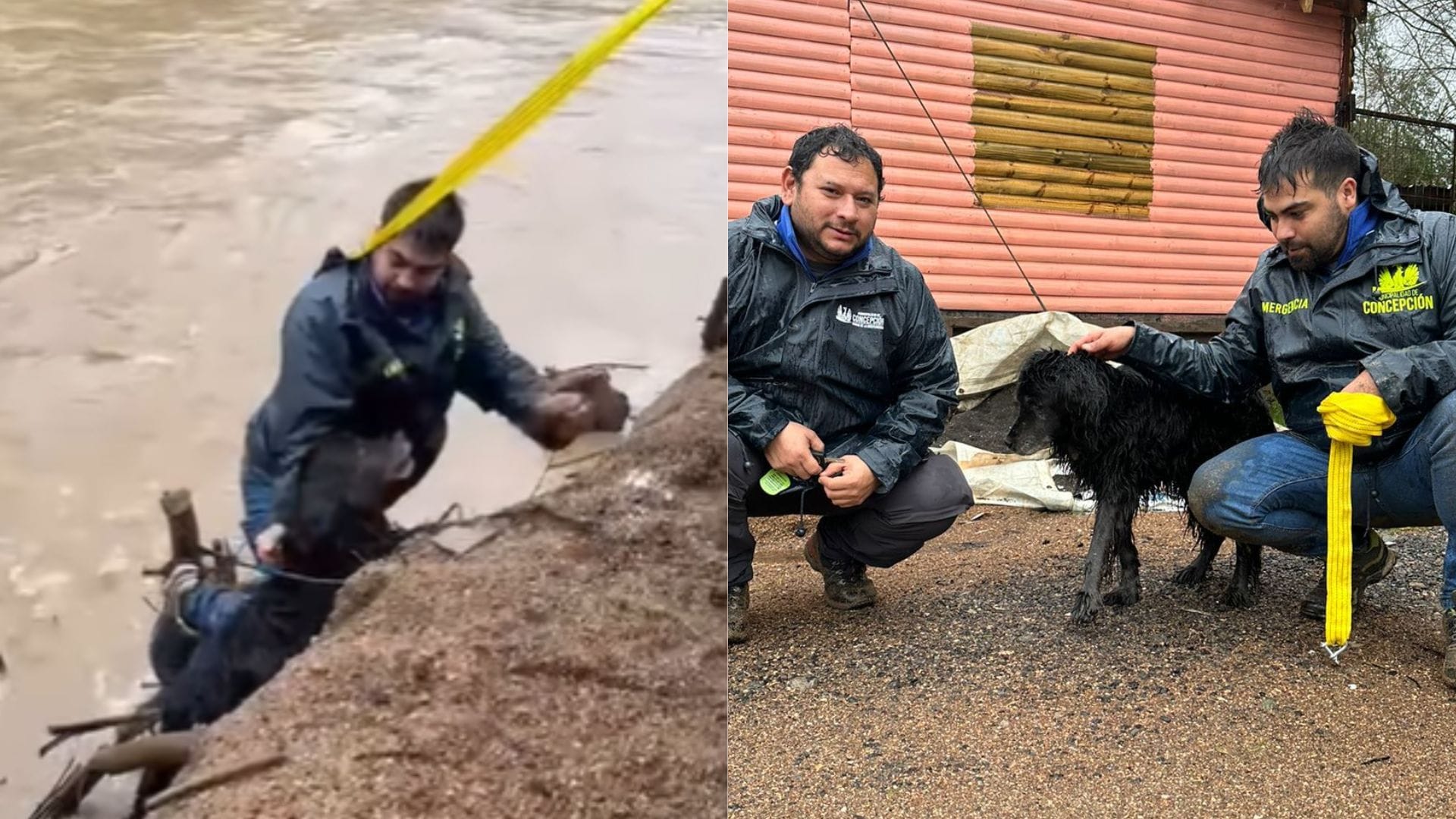 Rescatan a perrito que era arrastrado por la corriente en el río Andalién en Concepción