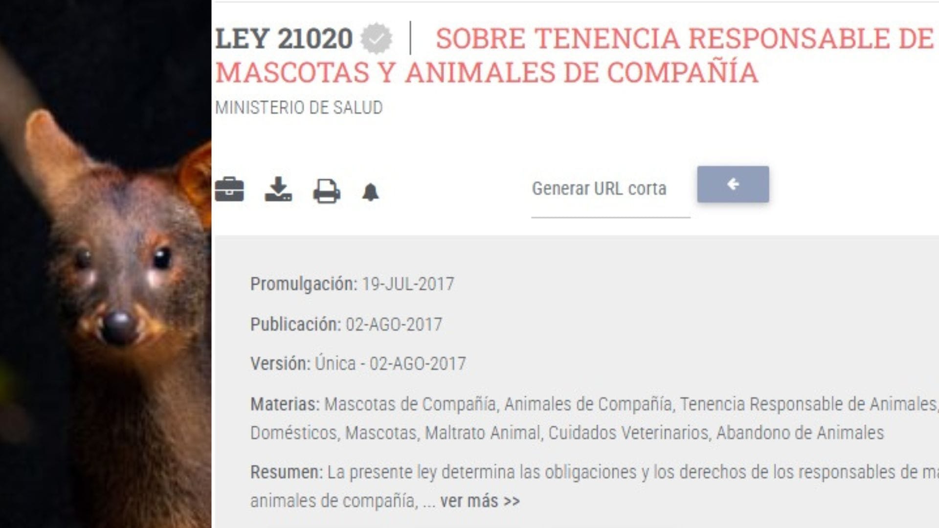 Editorial: Muerte de Pudú al interior del Parque Nacional Nonguén y la Ley Cholito