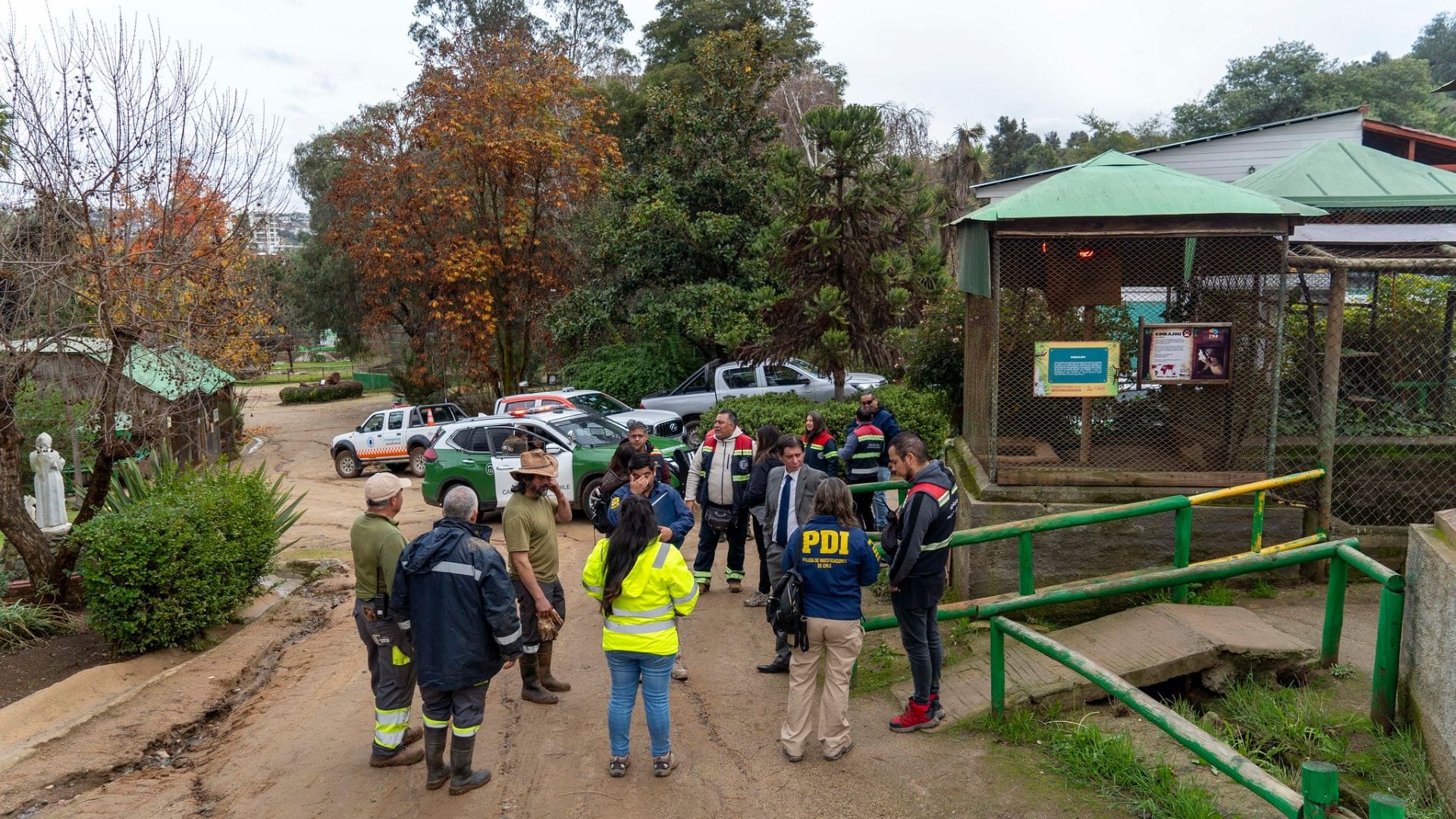 Más de 20 animales muertos tras ataque en zoológico de Quilpué