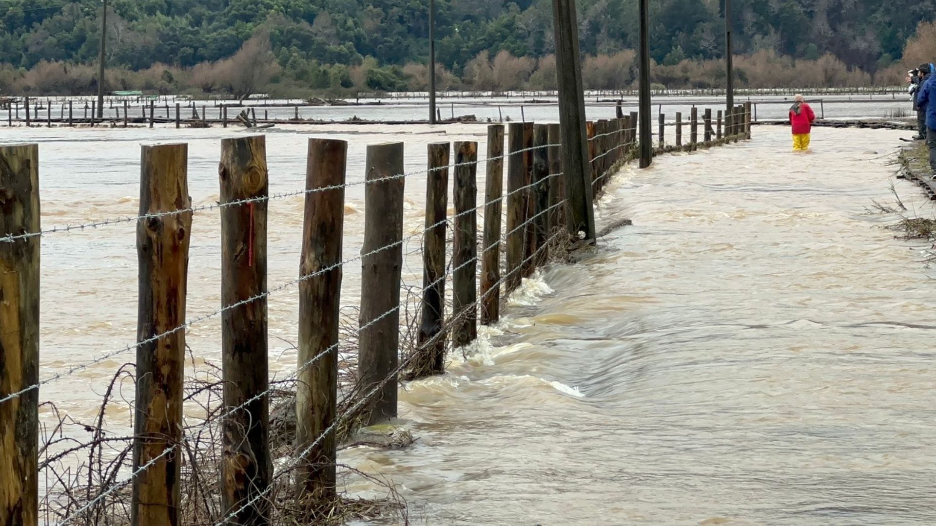 Decretan Alerta Roja en Arauco por peligro de desborde del río: Biobío en alarma por remociones en masa