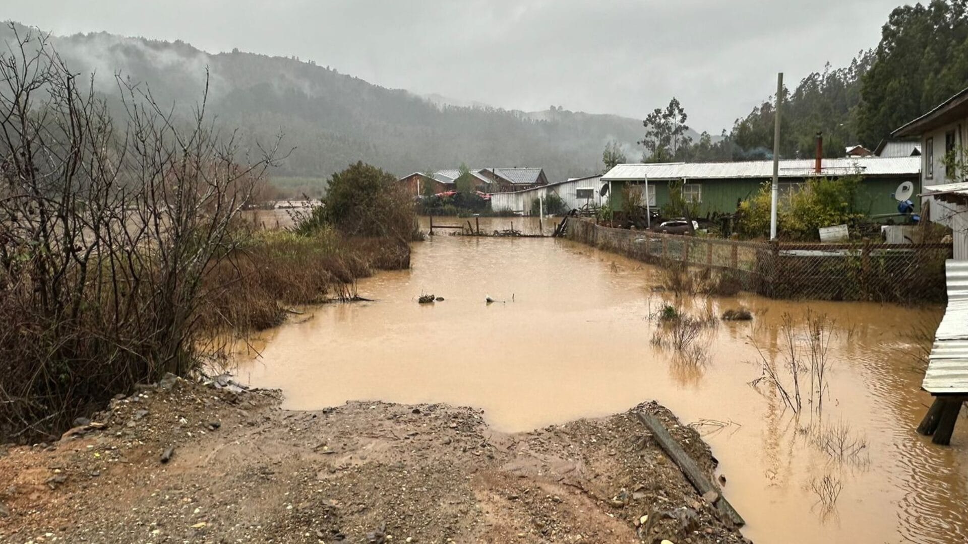 Arauco anunció la suspensión del flete de rollizos y faena de cosecha forestal para disminuir presencia de camiones en carretera
