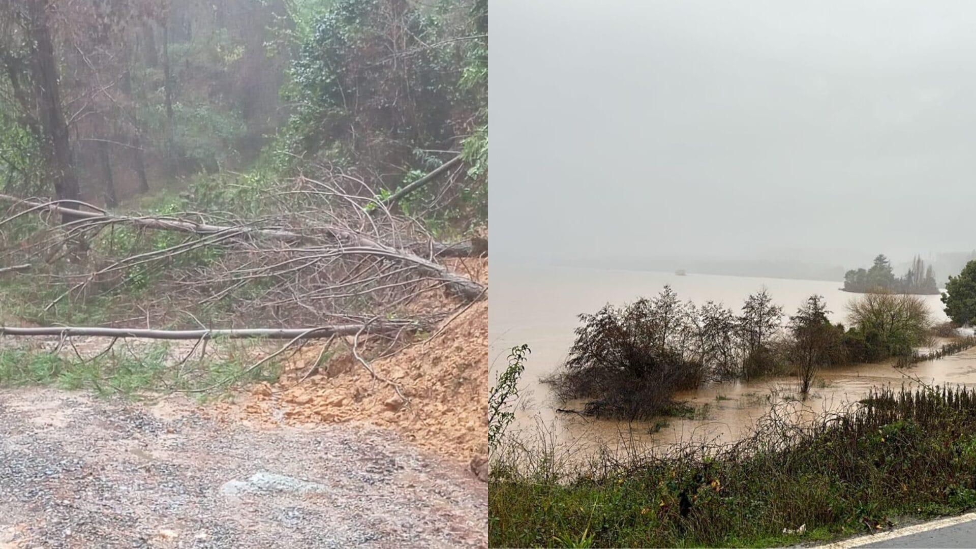 Llaman a evacuar distintos sectores de Santa Juana por desborde de esteros y río Lía