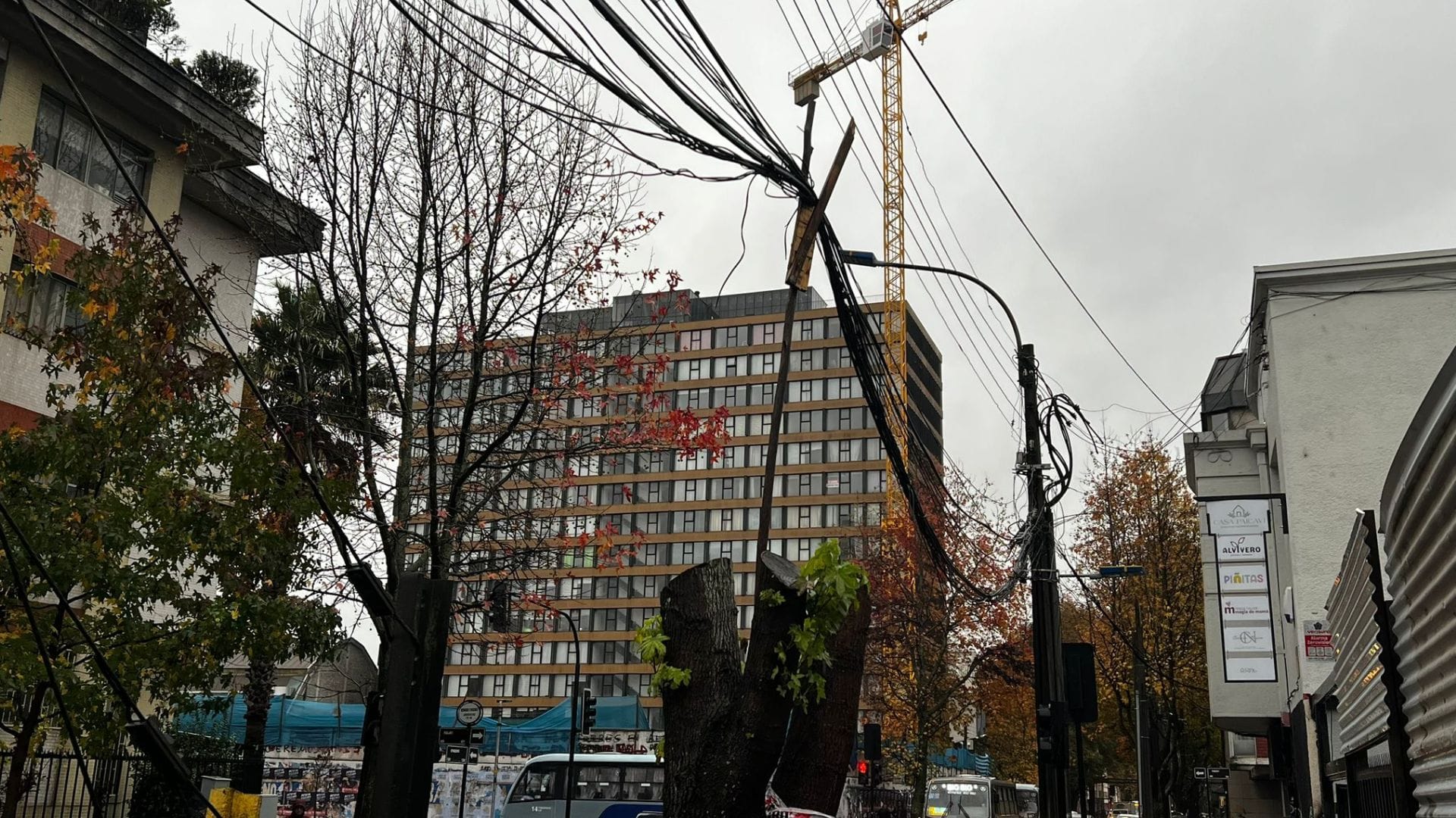 Un palo sostiene cableado de telecomunicaciones en el centro de Concepción