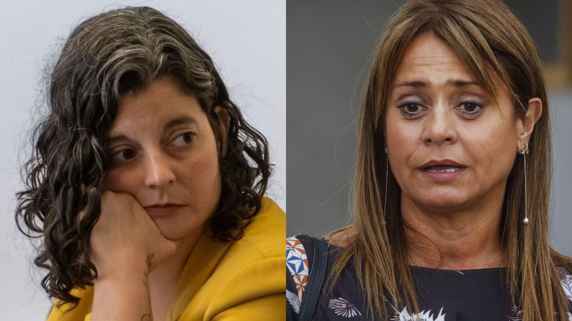 “No corresponde”: Delegada Dresdner criticó peritaje de Van Rysselberghe en causa de DD.HH.