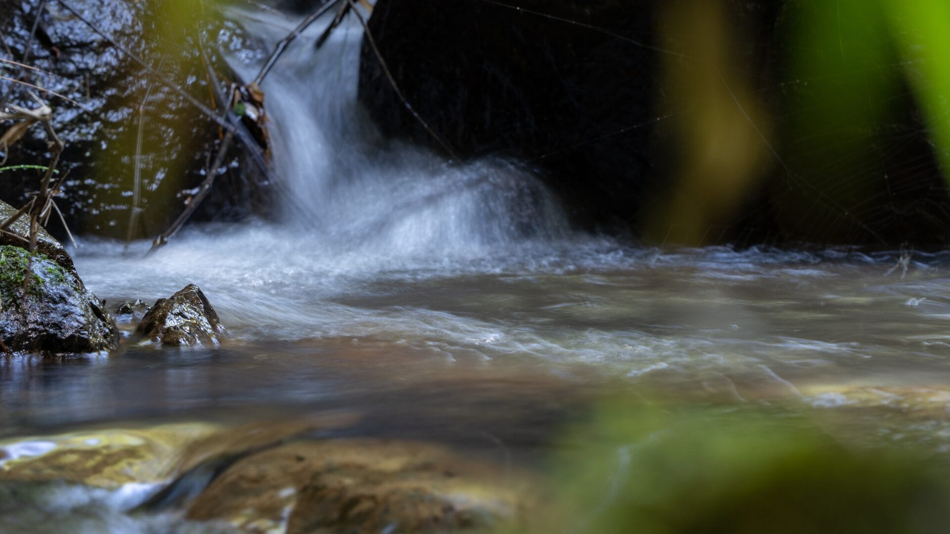 Aclara anunció que desistirá de sus derechos de aguas para cederlos a Penco y la biodiversidad