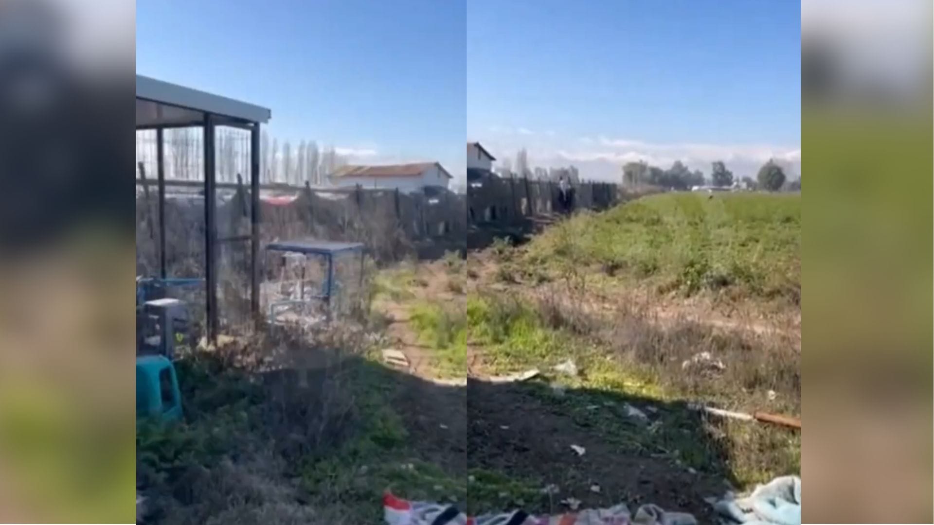 “Le dieron un plomazo, mamahuevo”: Liberan registro de mortal balacera en Lampa