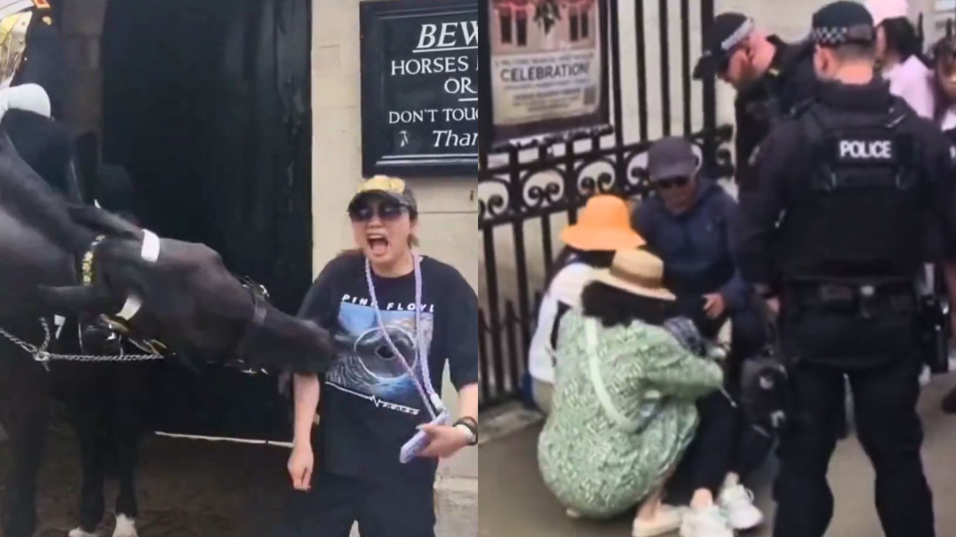 Caballo da fuerte mordida a turista desprevenida en Inglaterra: Cartel de la Guardia Real advertía del peligro