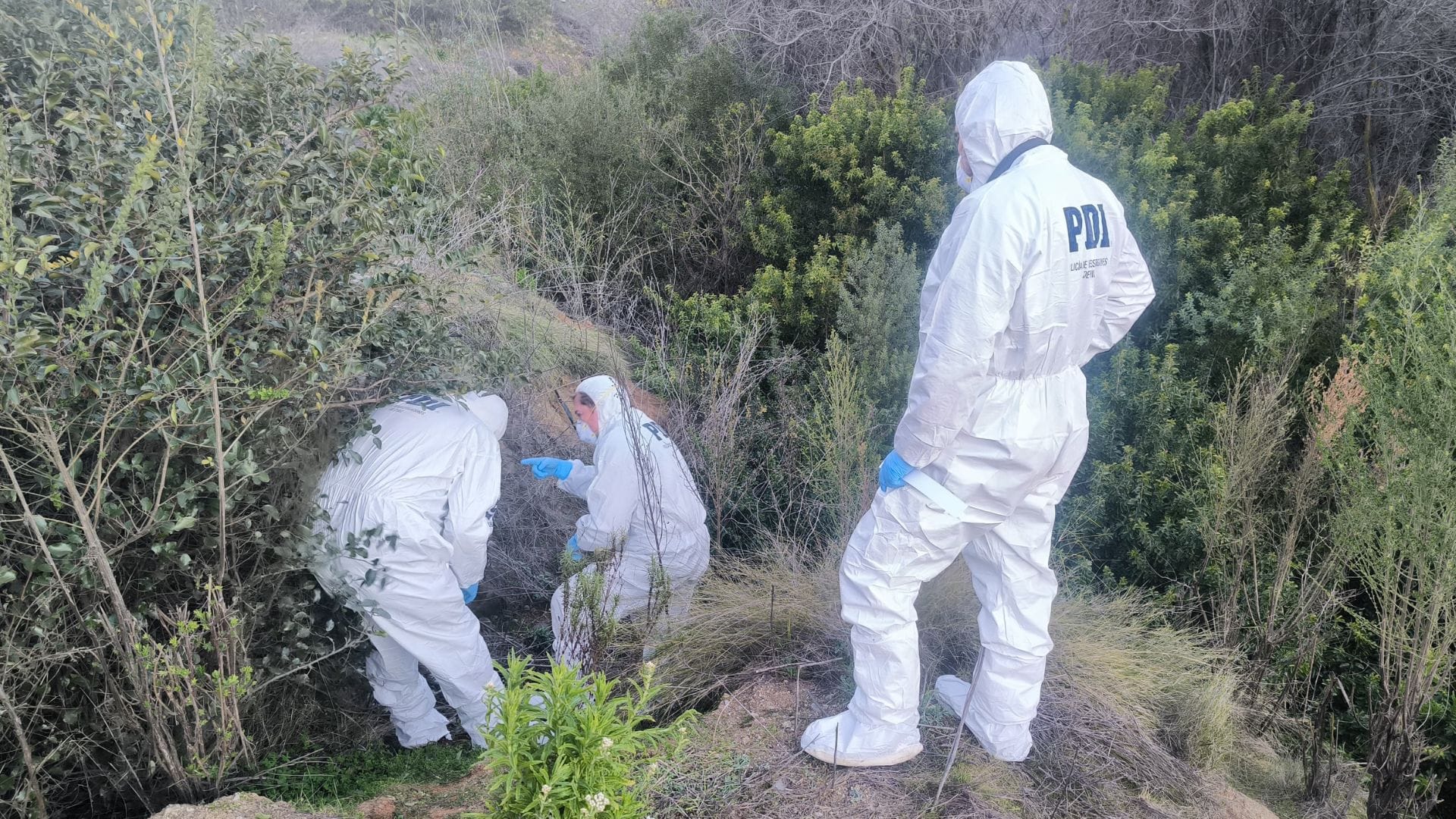 Encuentran cuerpo con impactos balísticos en Valparaíso
