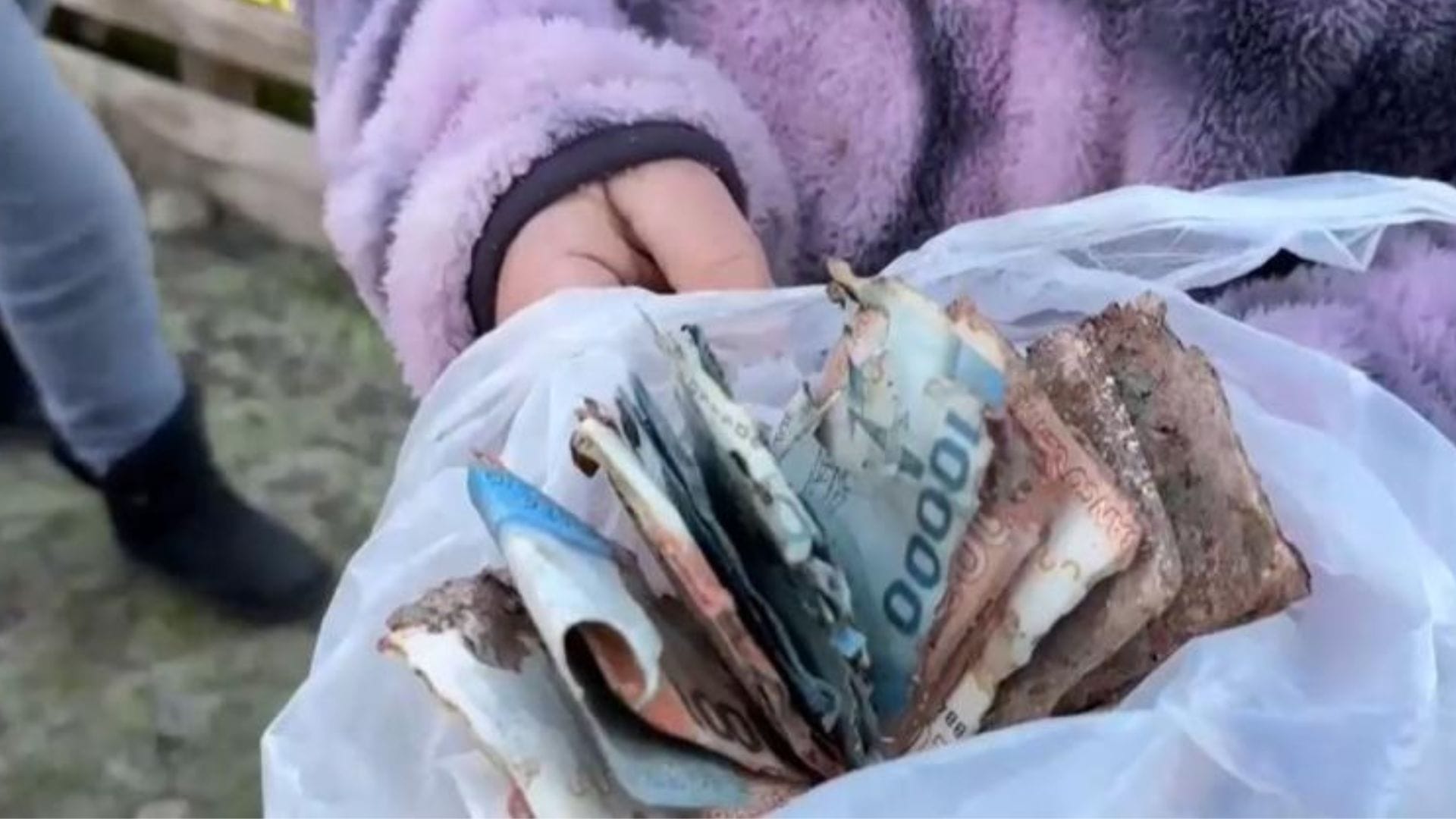 Familia pierde $3 millones que enterraron en el patio por lluvias en Curicó: ¿Podrán recuperarlos?