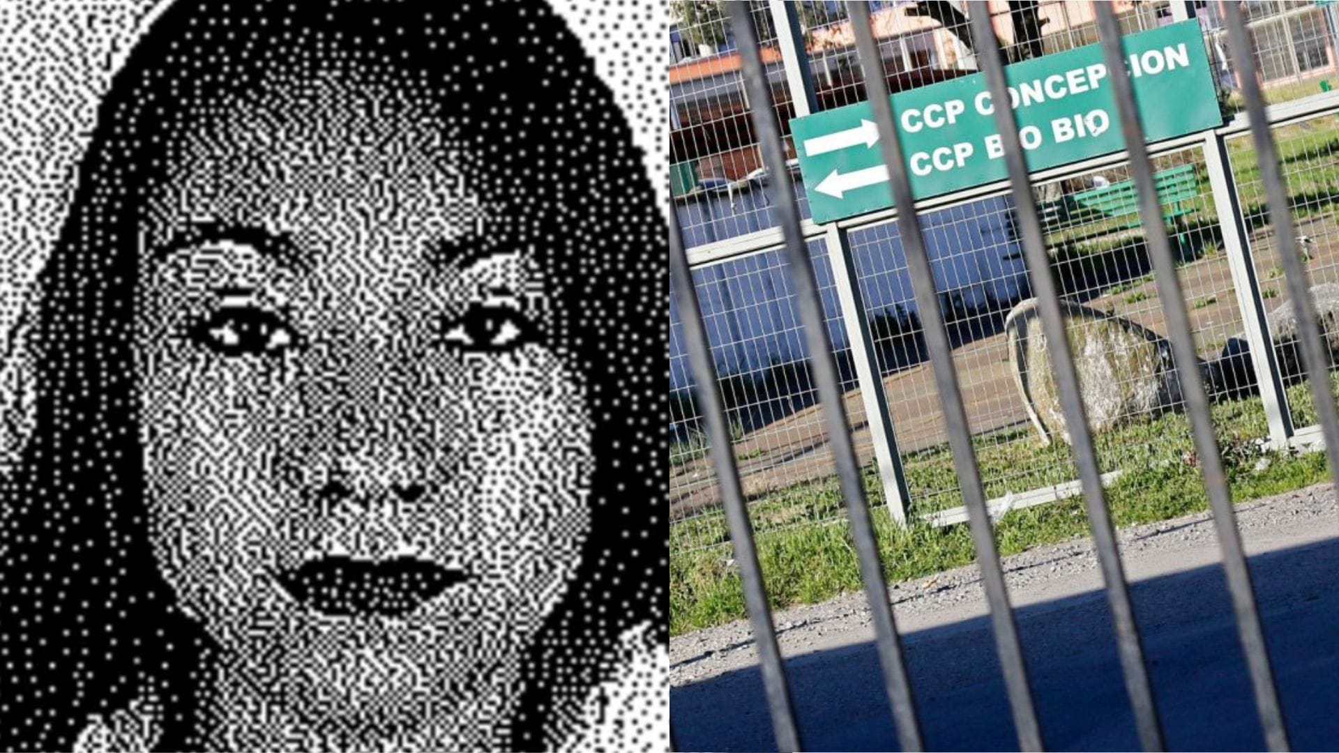 Vuelve a caer “Estrella Guaringa” tras asalto: La delincuente que agarró fama en Concepción al fugarse de la cárcel