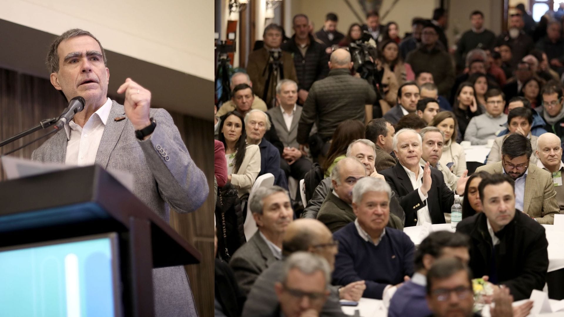 Los dolores que la industria forestal pretende revertir con su nueva política nacional