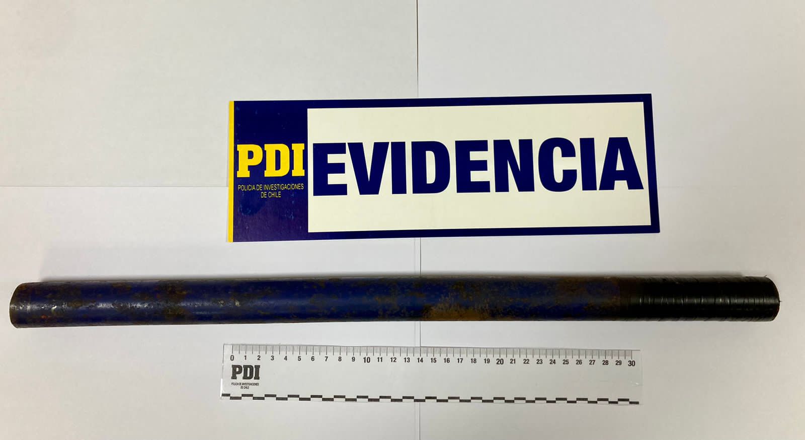 Delincuentes se graban robando y destrozando el Colegio Brasil de Concepción: Detenido es menor de edad