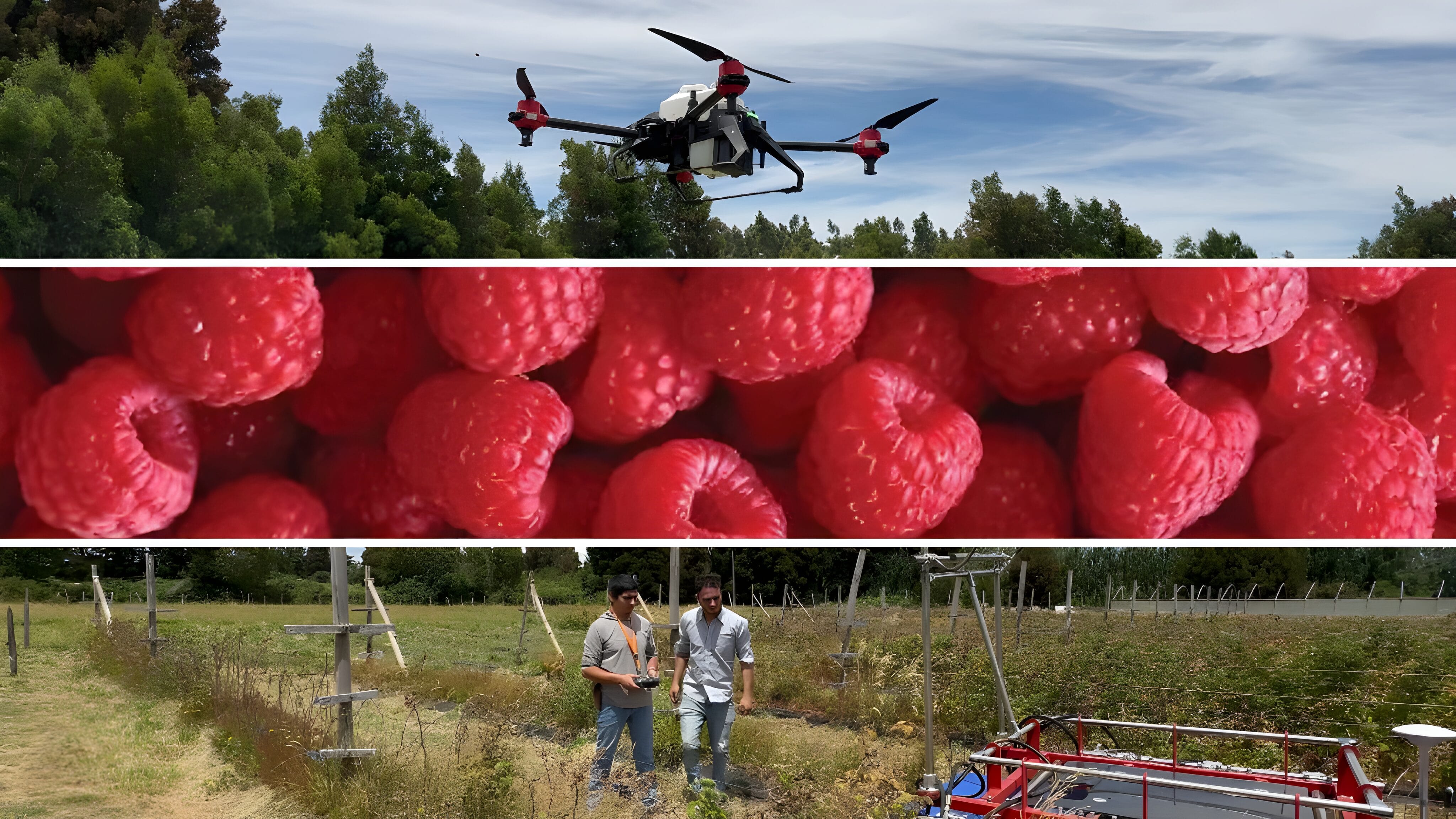Culmina con éxito el proyecto “Agroceler: Fruticultura 4.0”: un impulso tecnológico para los agricultores del Biobío