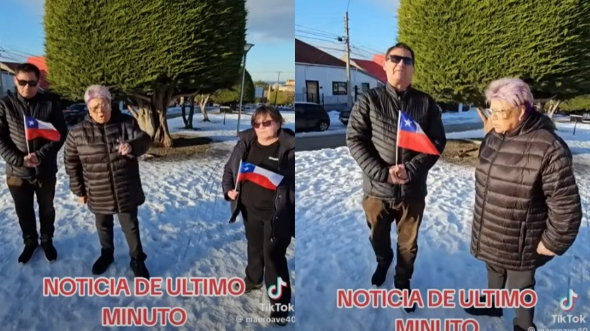 Patricia Maldonado aclara polémico video en “árbol de Boric”: “Es una parodia, no piensen que eso es realidad”