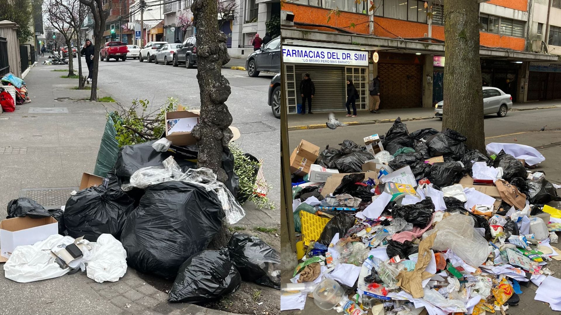 Centro de Concepción amanece con microbasurales tras breve pausa en la recolección de residuos