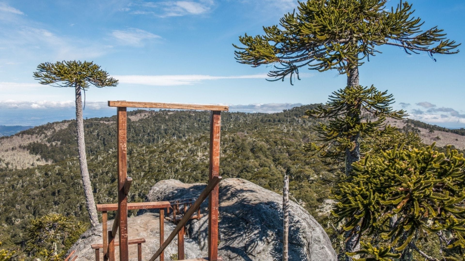 La impresionante vista hacia la cordillera y el mar en la cima de Nahuelbuta: Punto turístico tiene acceso por el Biobío