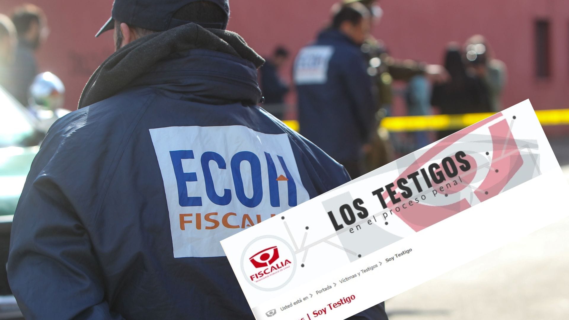 Editorial: El impacto en el programa de Testigos Protegidos