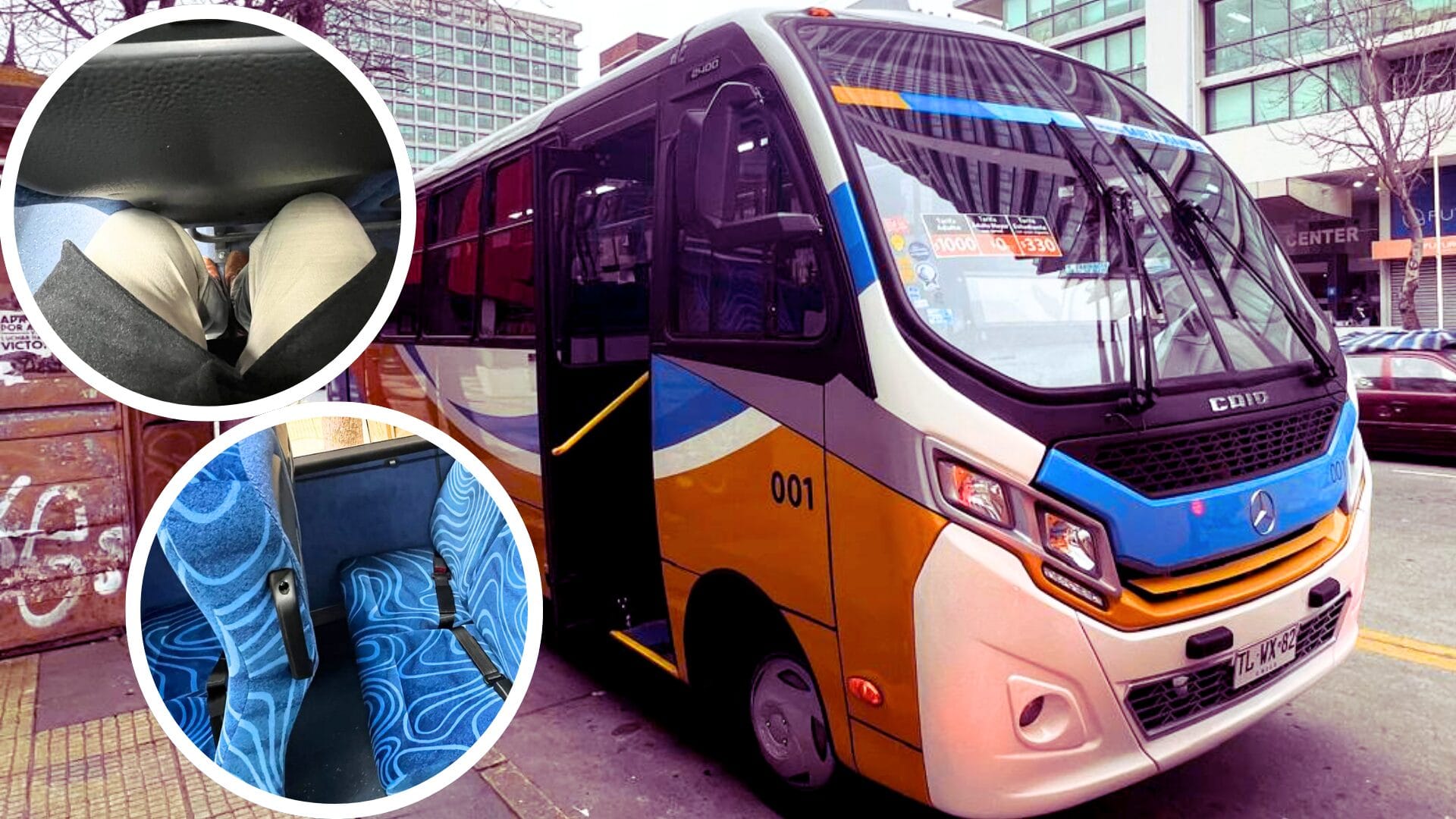 Transportes confirma falencias en nuevos buses a Santa Juana: Deberán ser modificados