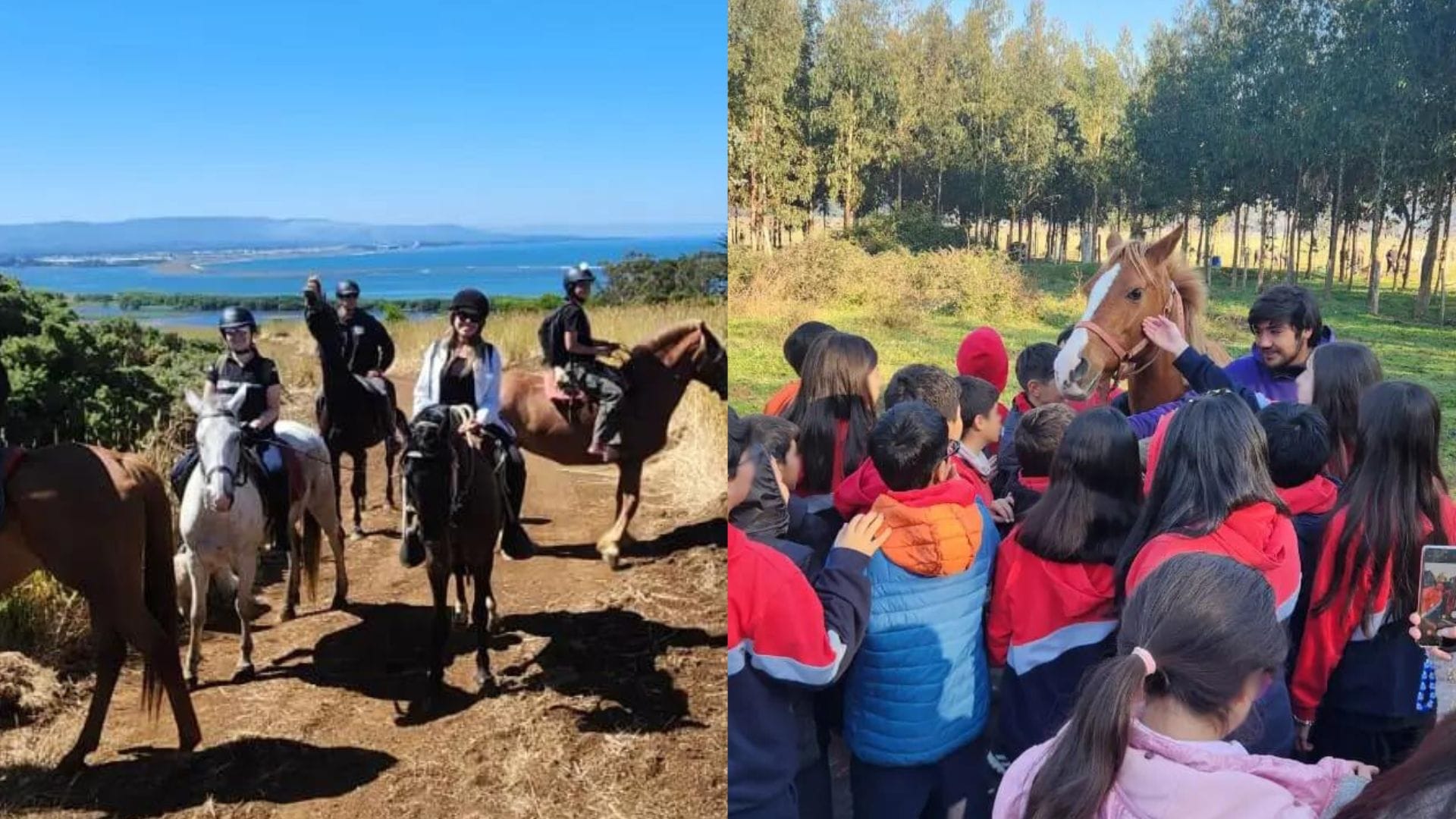 Cabalgatas para recorrer la Península de Hualpén: Rancho ofrece equinoterapia y equitación
