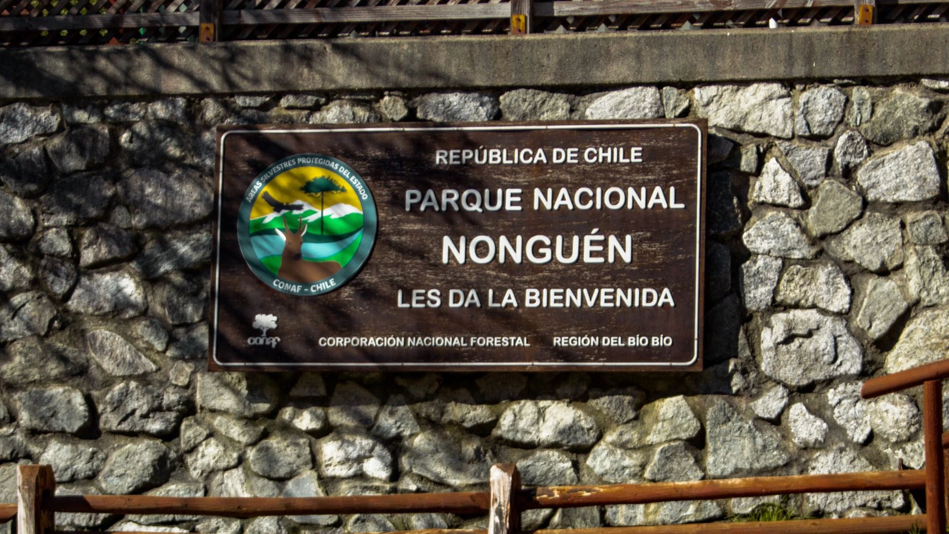 Anuncian reapertura del Parque Nonguén tras  un mes de cierre preventivo 