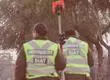 Persona muere atropellada en pista de circulación: Conductor de taxibús dio aviso a Carabineros de Estación Central
