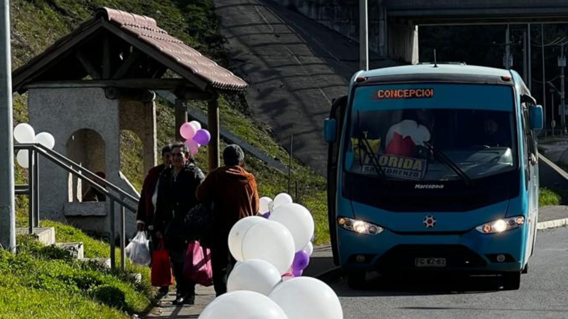Licitaciones y solicitudes: la larga espera por el transporte rural en el Biobío