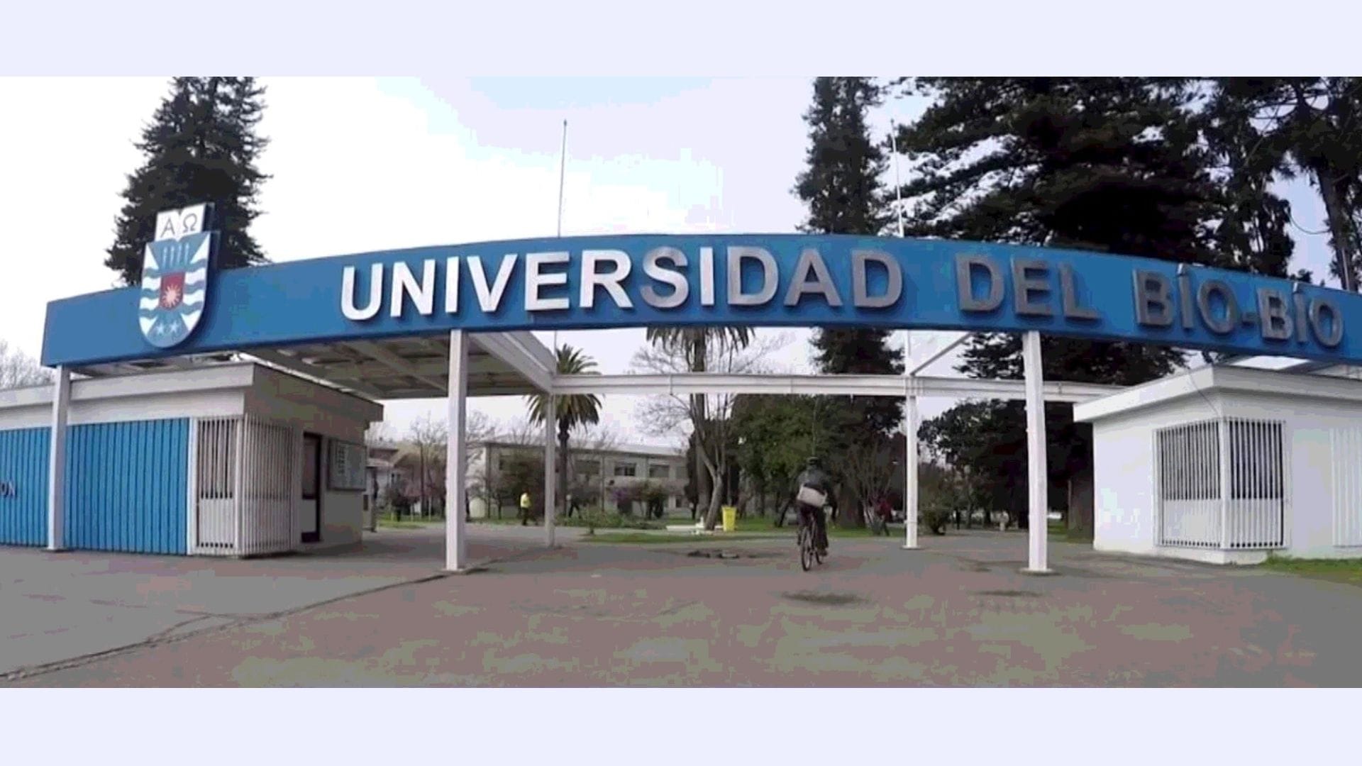 Extienden plazo de postulación para Diplomado en comercio exterior enfocado en emprendedores de la Región del Biobío
