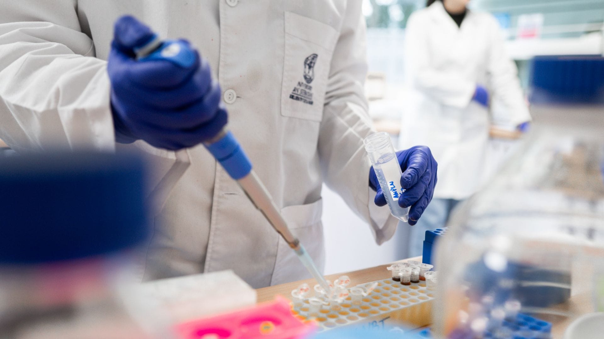 USS se posiciona entre las diez mejores instituciones chilenas en el Ranking Nature Research Leaders 2024