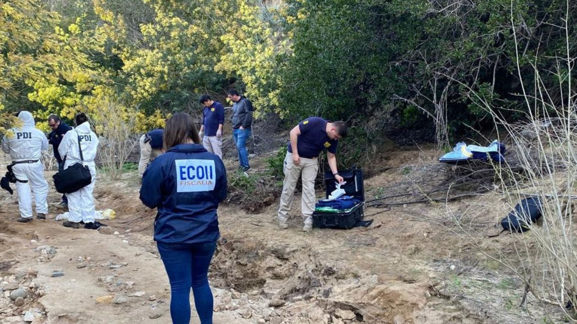 Cadáver de adulto mayor con heridas de “origen animal” y ropa desgarrada apareció en Quilpué